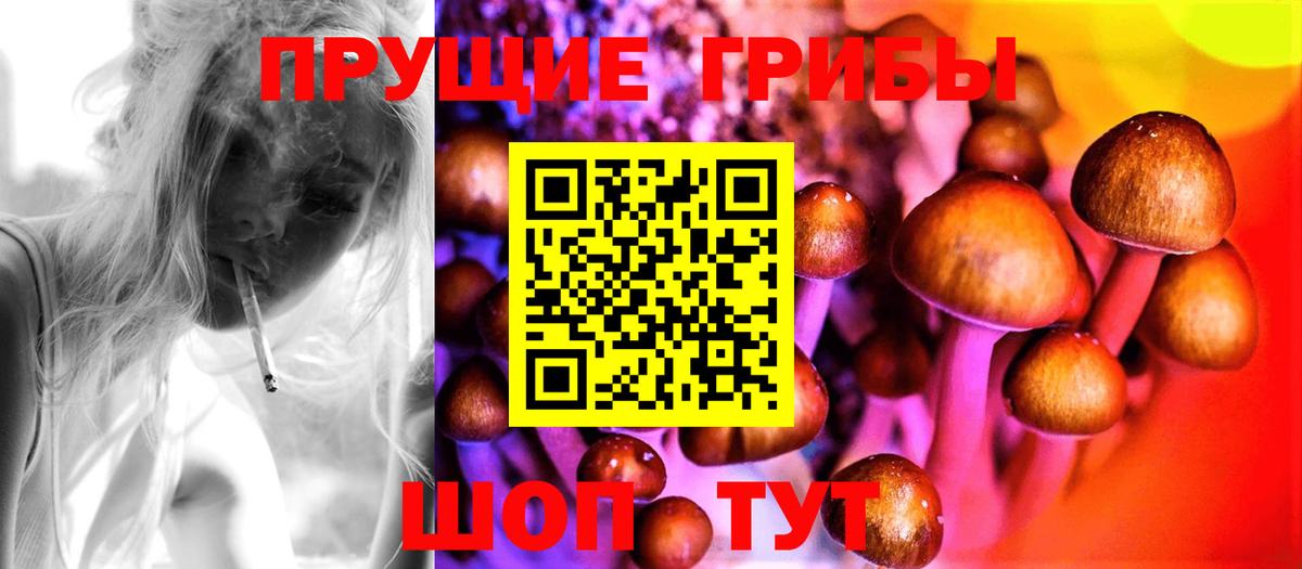 Галлюциногенные грибы Psilocybine cubensis  Вход с VPN  Отрадное  Галлюциногенные грибы Magic Shrooms 